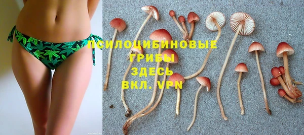 амф Абинск