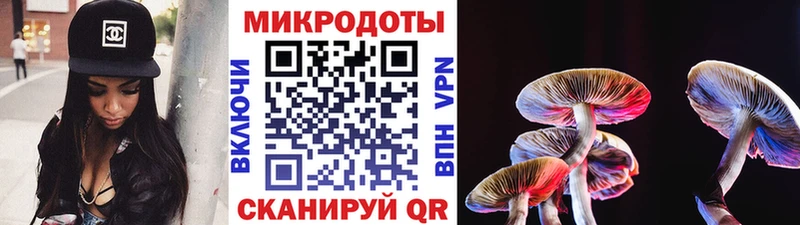 купить   Вилюйск  Галлюциногенные грибы Magic Shrooms 